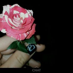 Meet your Posher, Emma